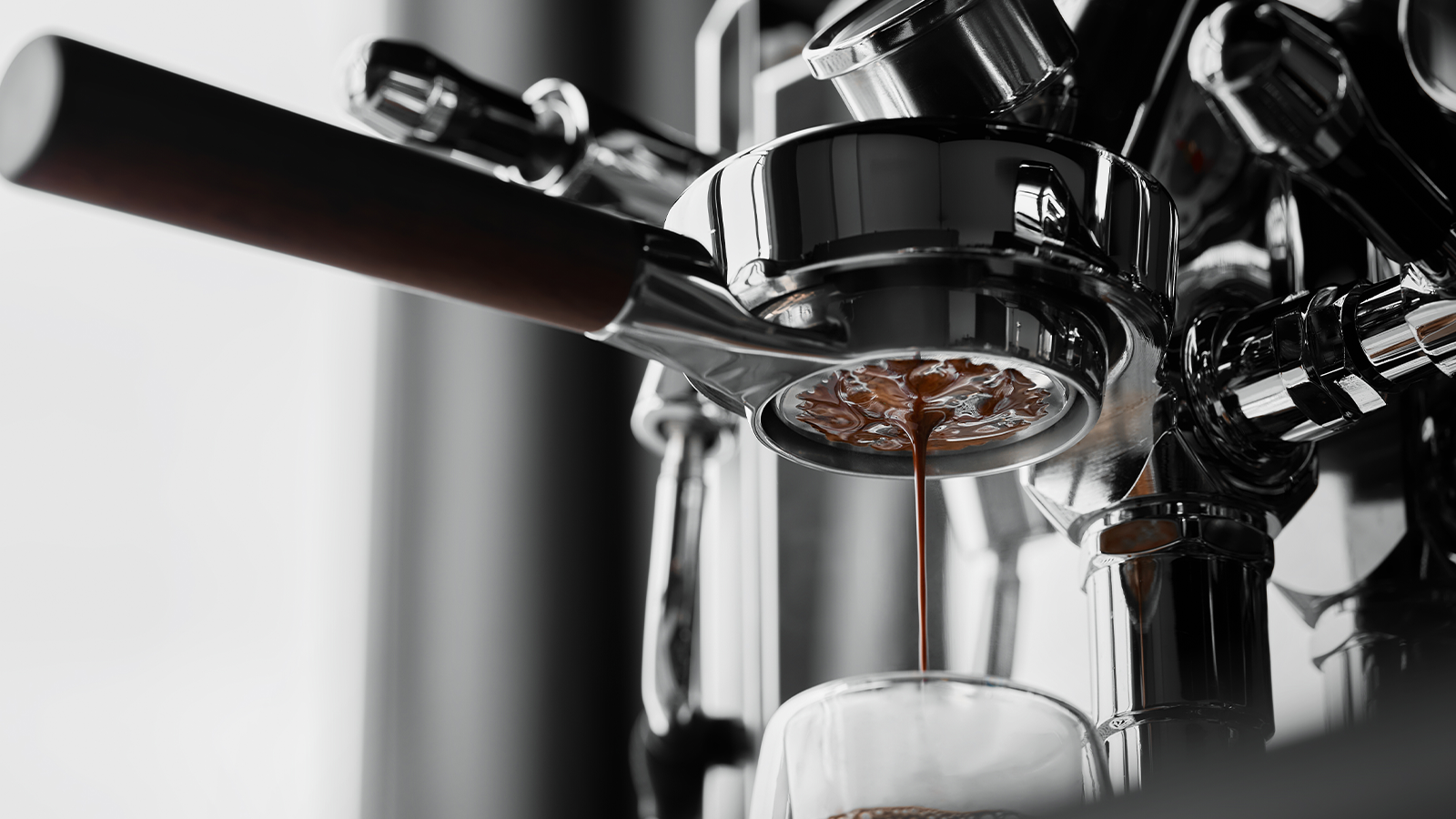 Bottomless vs. Spouted: Which Portafilter Should You Choose?